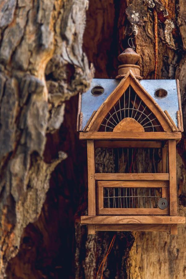 Traditional Guesthouses Xenofon Drymon Exterior photo